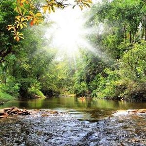 Meet your Posher, Vernia